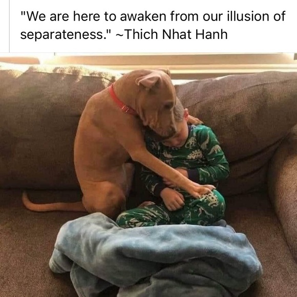 🐕🐻Help Rescue Animals🐬🐖🐑 #STOPAnimalCruelty💔 - Picture 14 of 16